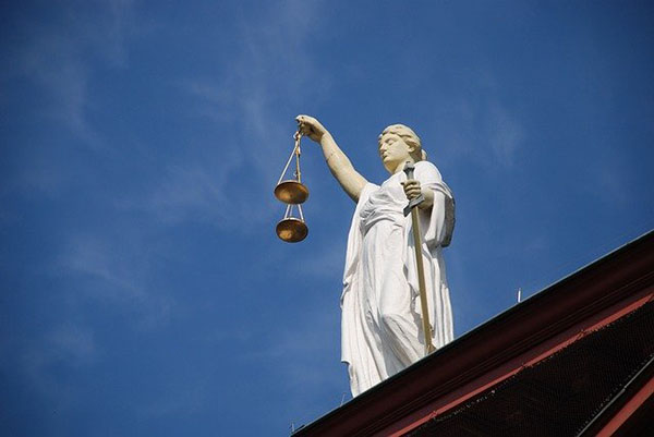 Case Law