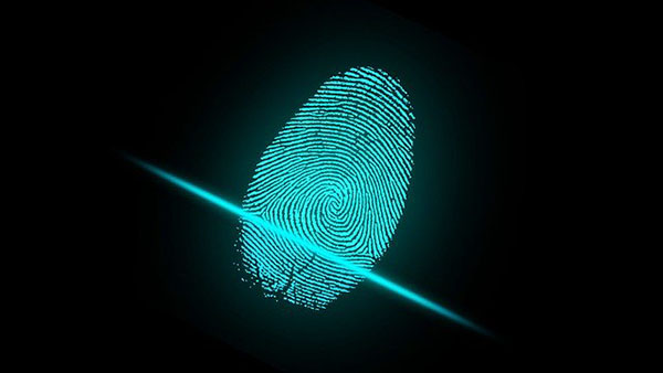 Finger Prints