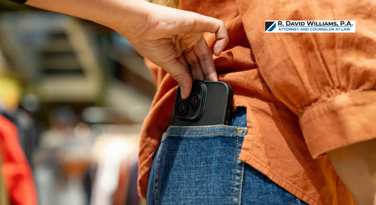 Petit Theft Vs. Grand Theft In Florida What Is The Difference Blog